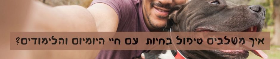 טיפול בחיות - פט פט פורטל החיות לאנשים שאוהבים חיות