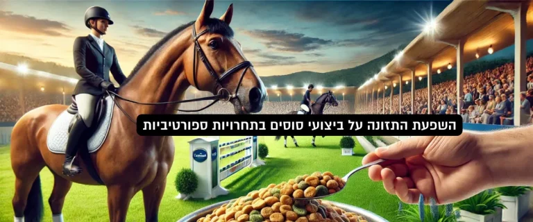 השפעת התזונה על ביצועי סוסים בתחרויות ספורטיביות