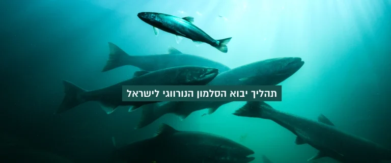 תהליך יבוא הסלמון הנורווגי לישראל