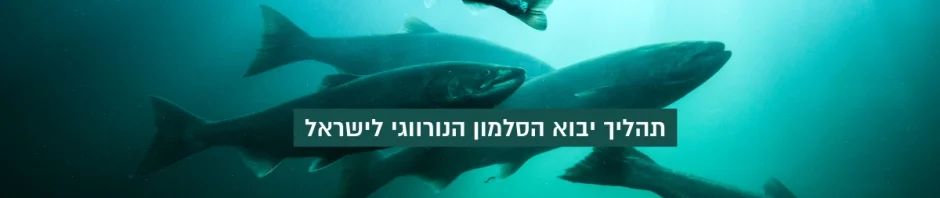 תהליך יבוא הסלמון הנורווגי לישראל